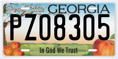 GA license plate PZO8305