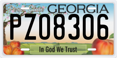 GA license plate PZO8306