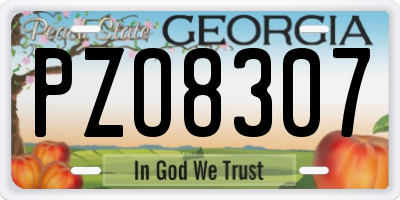 GA license plate PZO8307