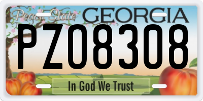 GA license plate PZO8308