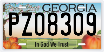 GA license plate PZO8309