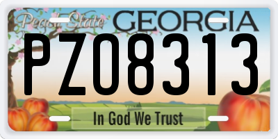 GA license plate PZO8313