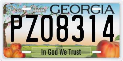 GA license plate PZO8314