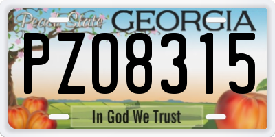 GA license plate PZO8315