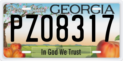 GA license plate PZO8317