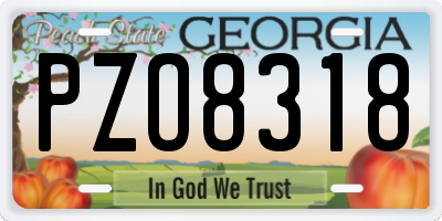 GA license plate PZO8318