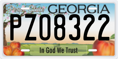 GA license plate PZO8322