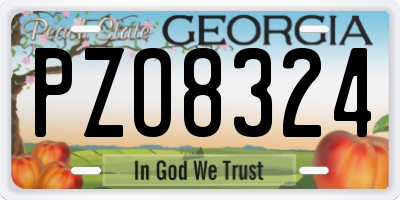 GA license plate PZO8324