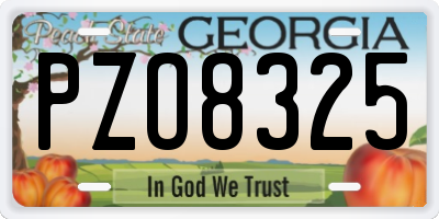 GA license plate PZO8325