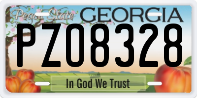 GA license plate PZO8328