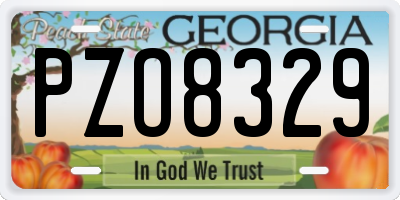 GA license plate PZO8329