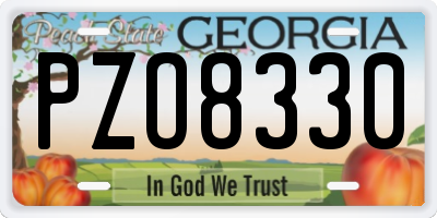 GA license plate PZO8330