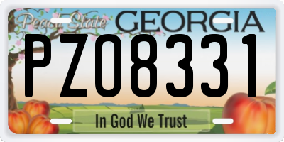 GA license plate PZO8331