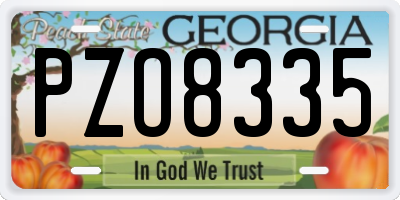 GA license plate PZO8335