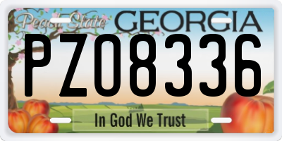 GA license plate PZO8336