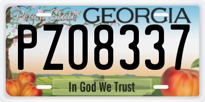 GA license plate PZO8337