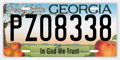 GA license plate PZO8338