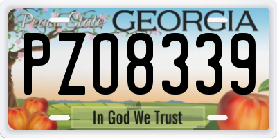 GA license plate PZO8339