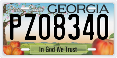 GA license plate PZO8340