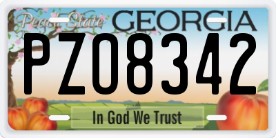 GA license plate PZO8342