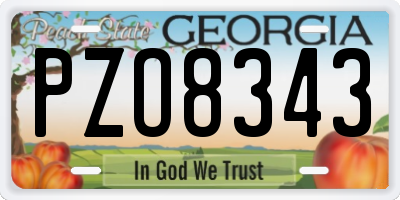 GA license plate PZO8343