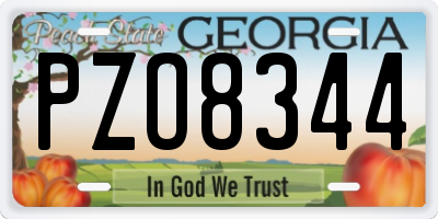 GA license plate PZO8344