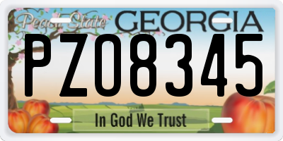 GA license plate PZO8345