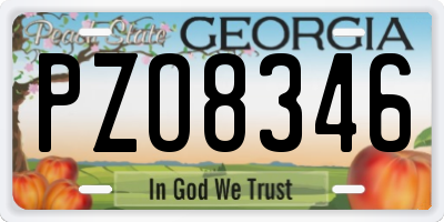 GA license plate PZO8346