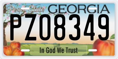 GA license plate PZO8349