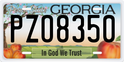 GA license plate PZO8350