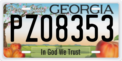 GA license plate PZO8353