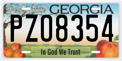 GA license plate PZO8354