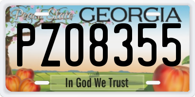 GA license plate PZO8355