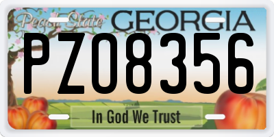 GA license plate PZO8356