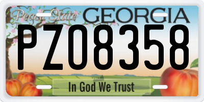 GA license plate PZO8358