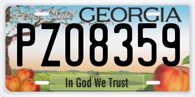 GA license plate PZO8359