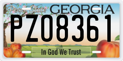 GA license plate PZO8361