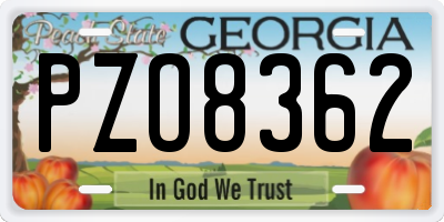 GA license plate PZO8362