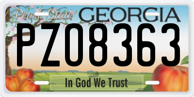 GA license plate PZO8363