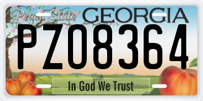 GA license plate PZO8364