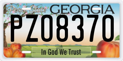 GA license plate PZO8370