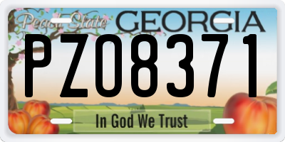 GA license plate PZO8371