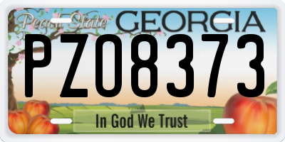 GA license plate PZO8373