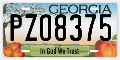 GA license plate PZO8375