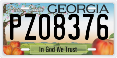 GA license plate PZO8376