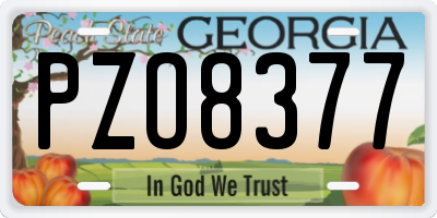 GA license plate PZO8377