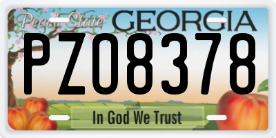 GA license plate PZO8378