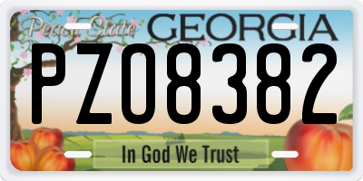 GA license plate PZO8382