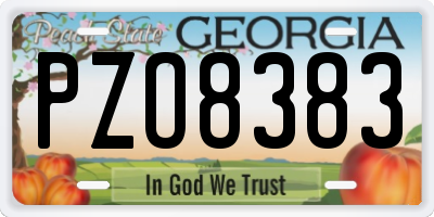 GA license plate PZO8383