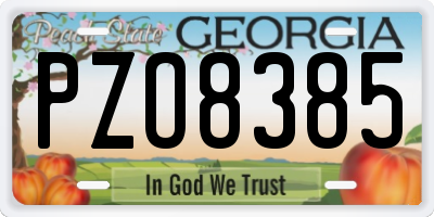 GA license plate PZO8385